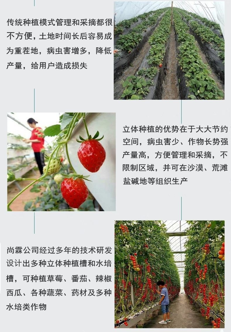 O1CN01oohRnl2FhI5xvadg4_!!2209