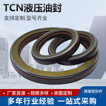 氟胶骨架油封TCN高压油封液压油泵耐高压油封耐高温耐磨机械密封