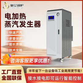 6-36KW蒸汽发生器上海电锅炉直供免办证食品厂酿酒锅炉电加热