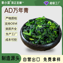 ����5g�f����˸�Óˮ�߲��ϙ�˸ɲ�Óˮ�����Ͳ˸�