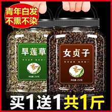 女贞子和旱莲草500g中药材正品茶包女真子墨旱莲墨莲菟丝子泡水茶