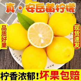 四川安岳黄柠檬3新鲜水果皮薄当季整箱选香水柠檬小金桔1斤非无籽