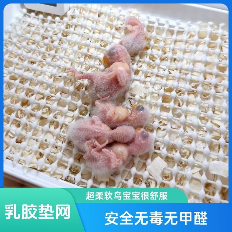 幼鳥用品オウムマットネットスーパーソフトラテックスゼロデイオウムステーションネット非毒性、ホルムアルデヒドフリー|undefined