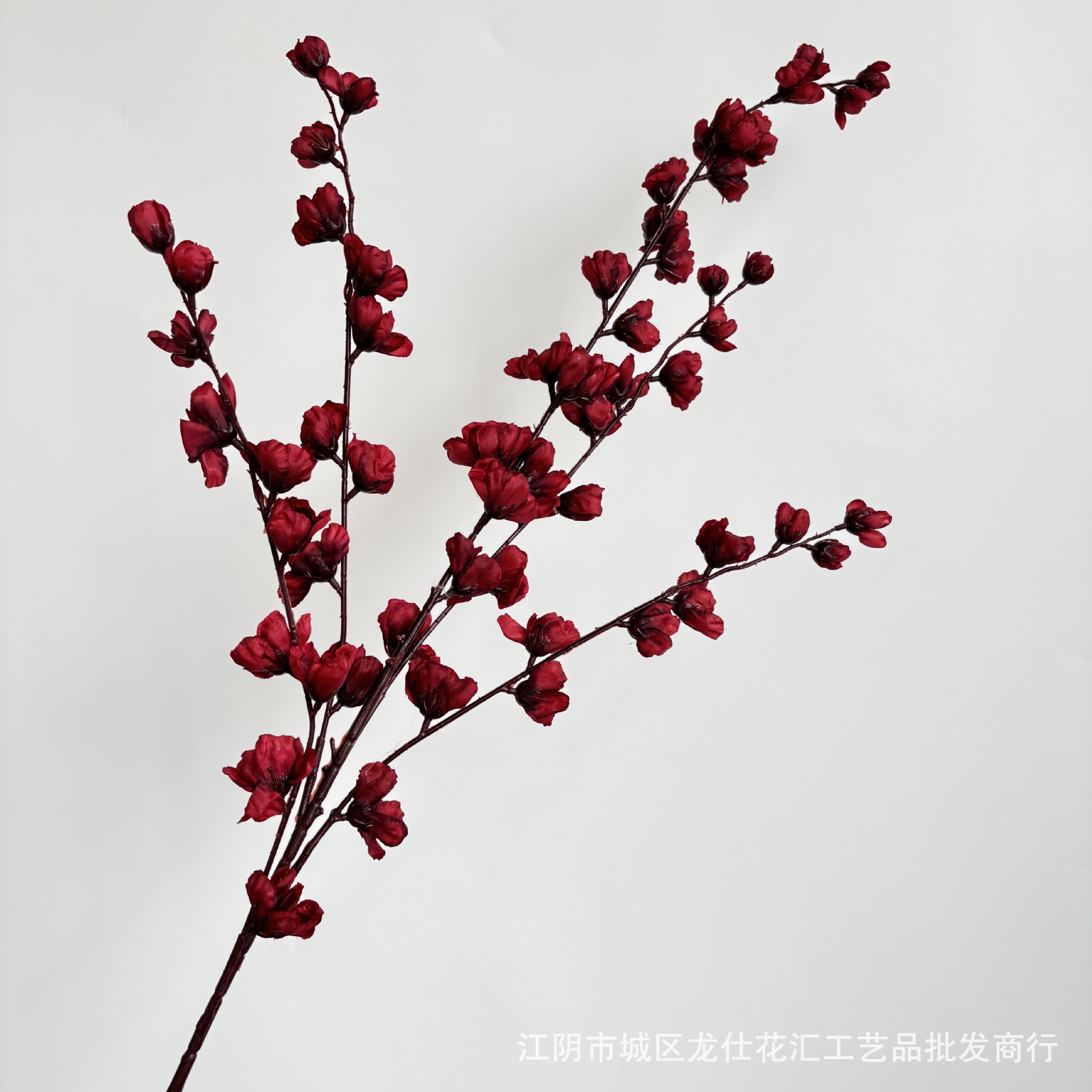 다섯 갈래의 델피늄