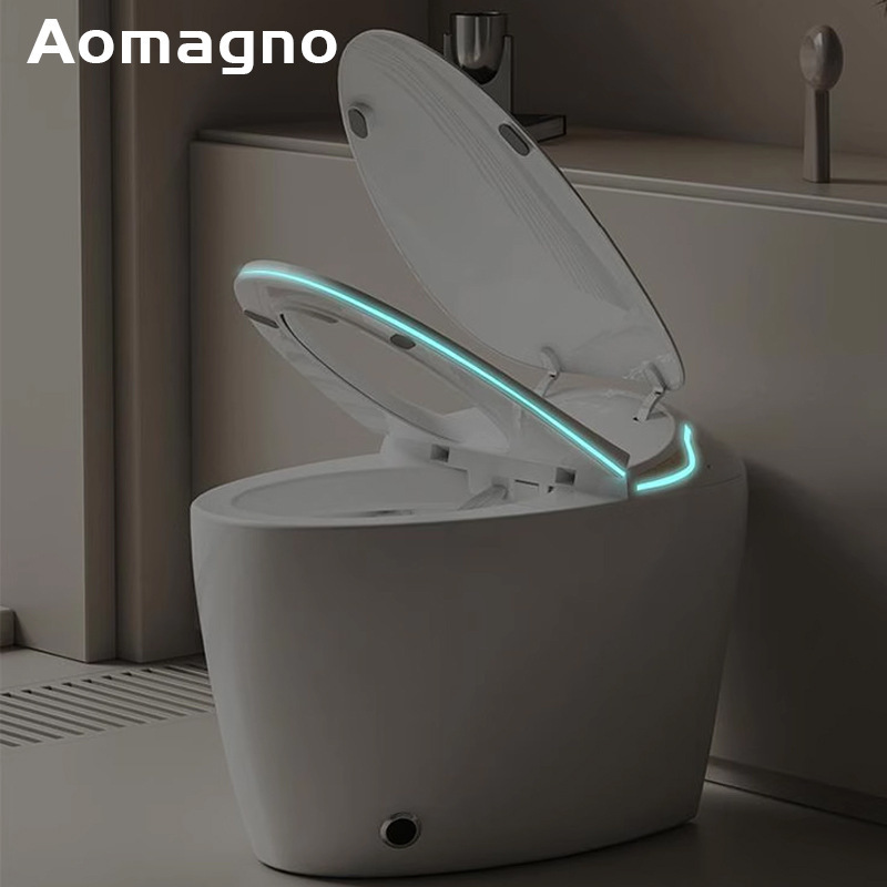 德国Aomagno鸡蛋智能马桶 家用即热无水压限制即热恒温蛋形坐便器|undefined