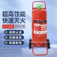 鼎梁灭火器消防干粉聚梁氏山东DL手提推车4KG8KG25KG水基全新国标