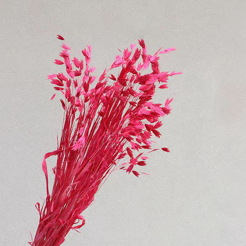 Flores de inmortalidad rojas decoración de boda flores secas de Año Nuevo para dar la bienvenida a los huéspedes frijoles de dragón grasa colgando arroz al por mayor