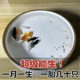 �����������~����̥��ֱ����С�~����ĸ�~����Ƥ���~���B�ͻ�