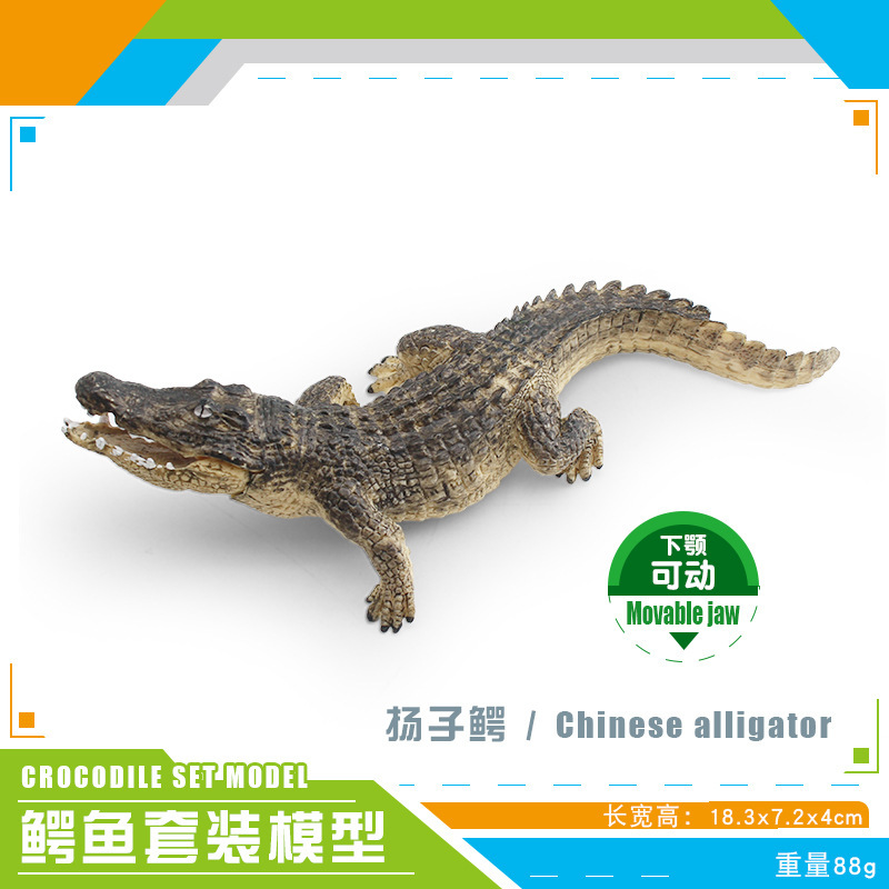 Transfronterizos infantiles simulación anfibio cocodrilo modelo cocodrilo imperador cocodrilo Yangtze mandíbula móvil estático juguete de decoración