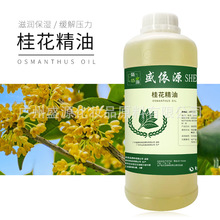 盛依源 桂花精油按摩精油芳香精油 美容院护肤按摩油身体刮痧精油