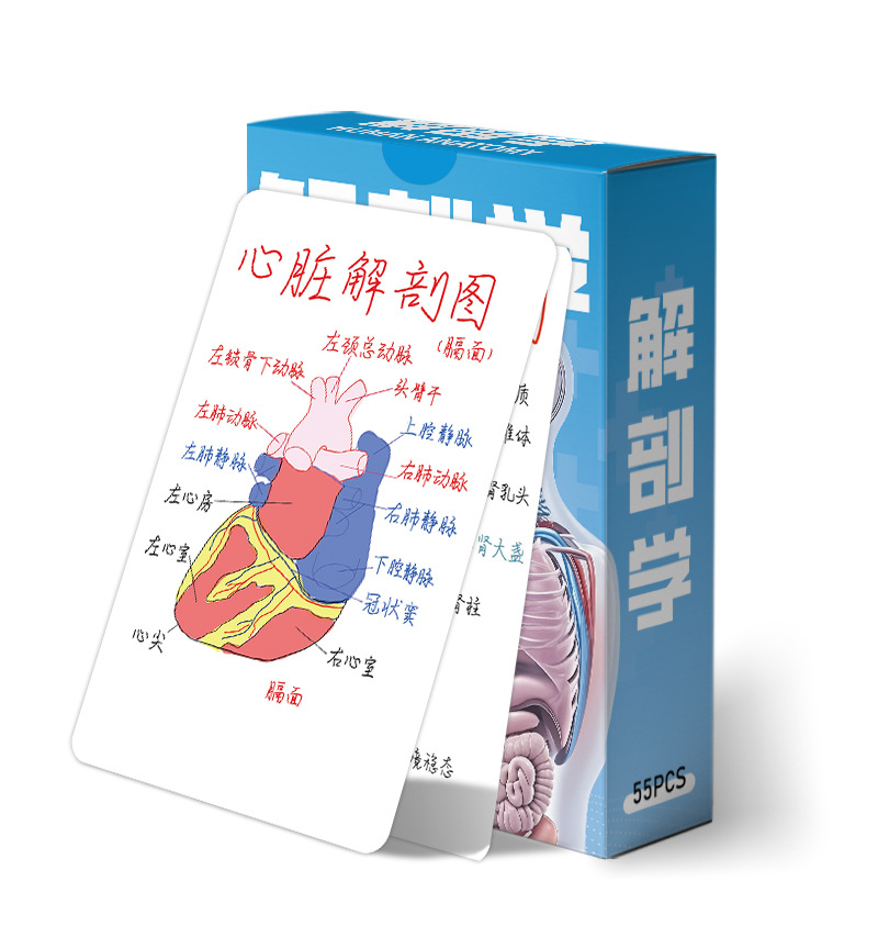 详情图