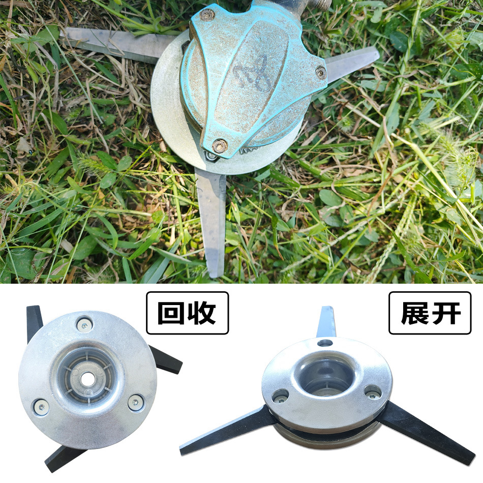 详情03.jpg