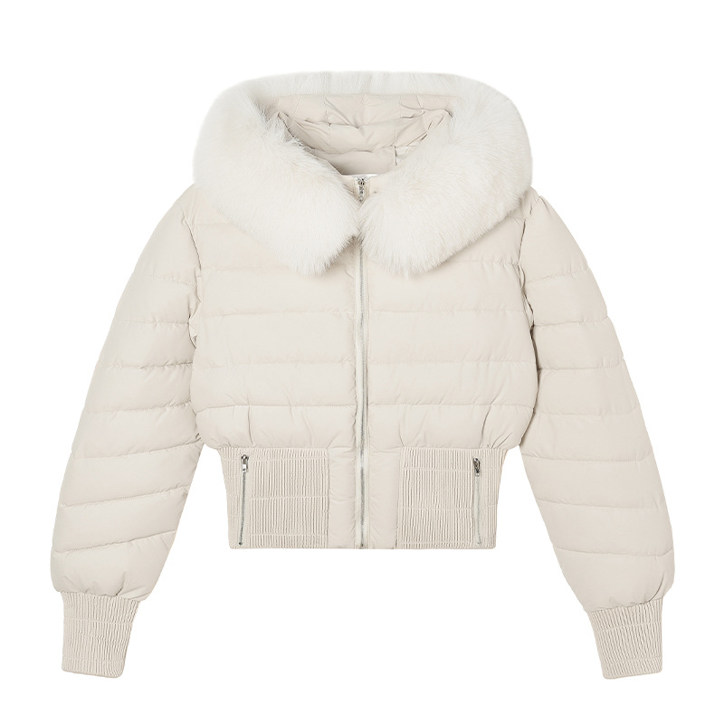 Otoño y invierno ins Europa y América cuello de lana ropa de algodón casual delgada cuello de lana de mujer abrigo de pluma con capuchón corto