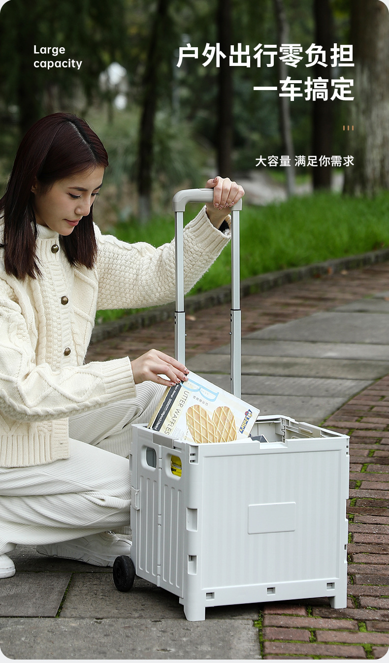 买菜小拉车推车家用手拉迷你便携式外贸超市购物车露营野营折叠箱详情3