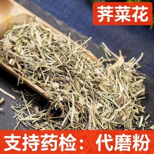 ��ș�� �j�˻� �j�� ���j�� �j�˸� �˻� ���׻� �j�j�� �j��