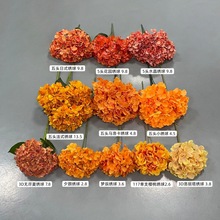 �����ɫϵ�з��滨ϵ�н����c���Ż�ˇ�����m��ʽ�Rȫ���Ľ�ɫ