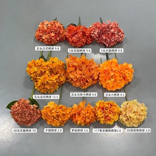 �����ɫϵ�з��滨ϵ�н����c���Ż�ˇ�����m��ʽ�Rȫ���Ľ�ɫ