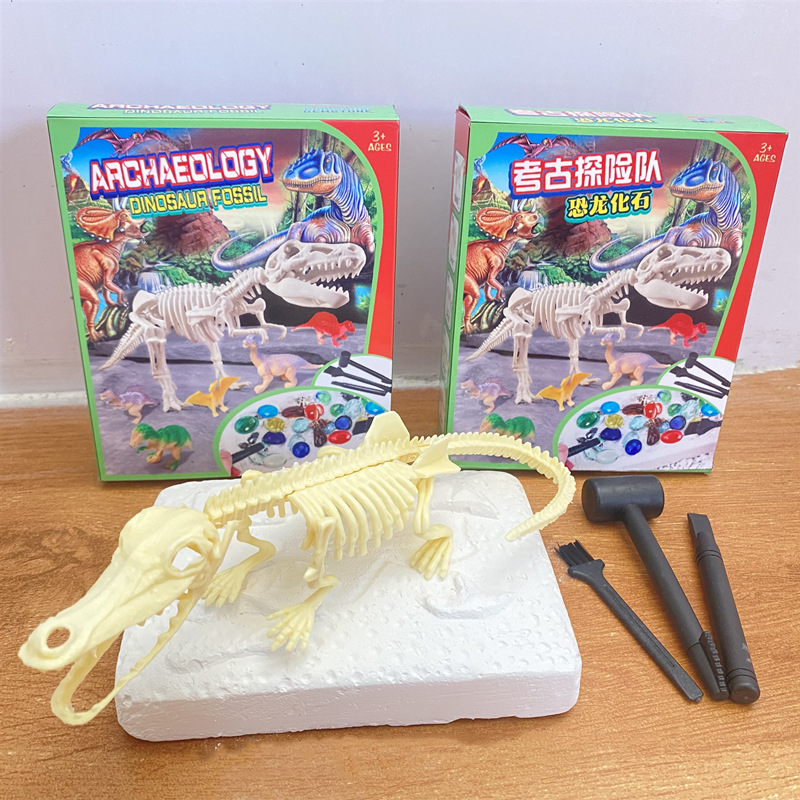 컬러 박스-악어 해골 + 도구