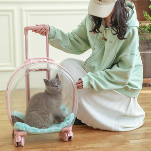 Multi-purpose pet trolley case portable cat bag out door bag transparent large capacity space capsule pet Box Wholesale