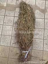 ��ș�����ћ��۲���ș�ě��۲����˲����˃��ɲ�������������ă�