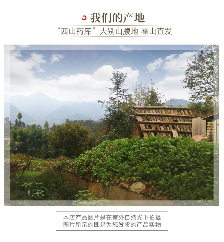 Sour Jujube Seed Suan Zao Ren 250g Dried Ziziphus Seeds for Herbal Tea and Decoction in use