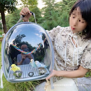 �W�^̫���⎧͸�����B���P����y�\���B�\�����̖��Ƥ�����B���]