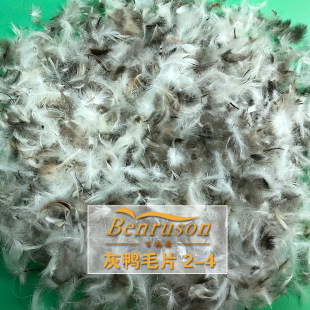 ��q�S��ֱ���o��ζ����ë2-4��ë���|ɳ�l���팣�������ëƬ