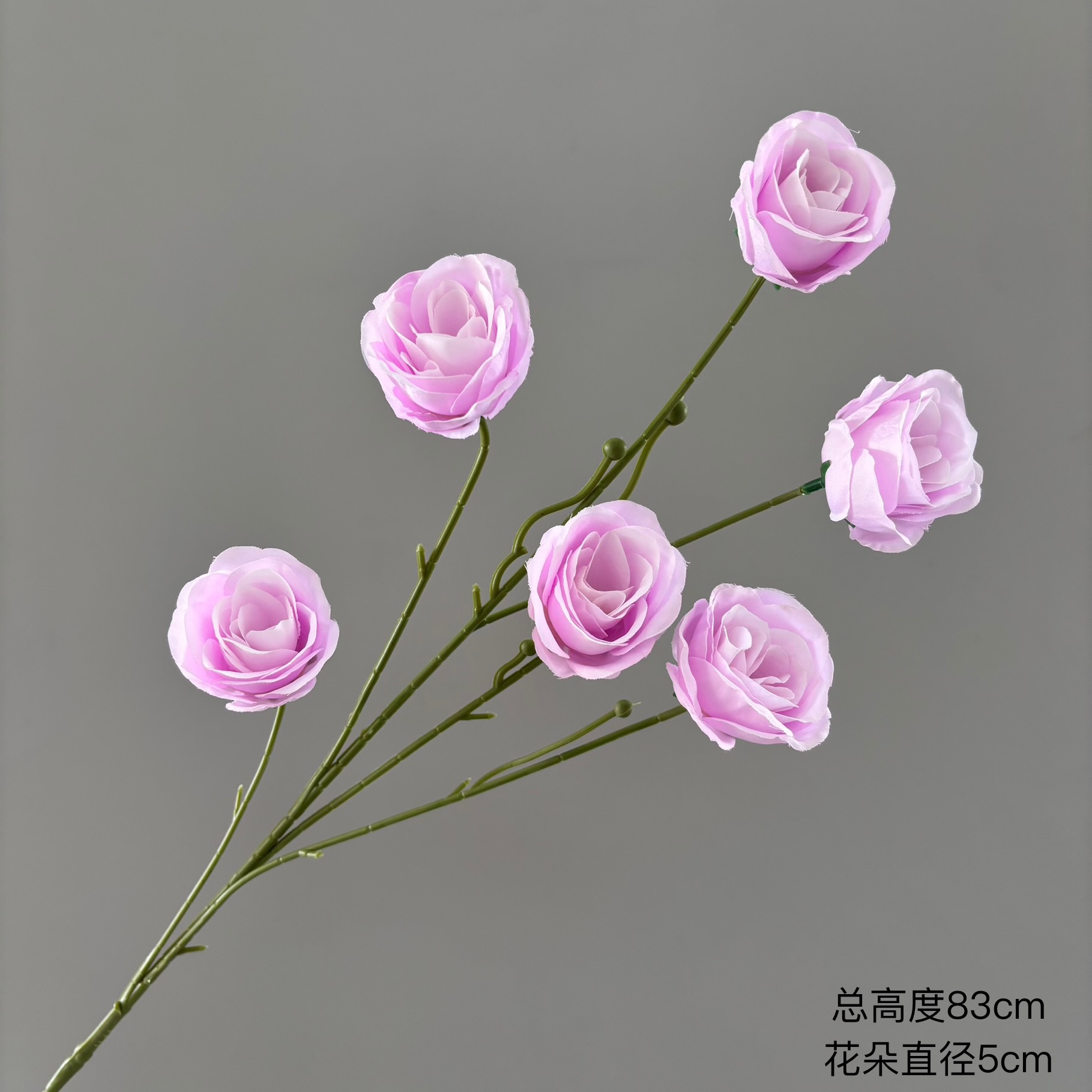 절묘한 장미 6송이(연한 보라색)
