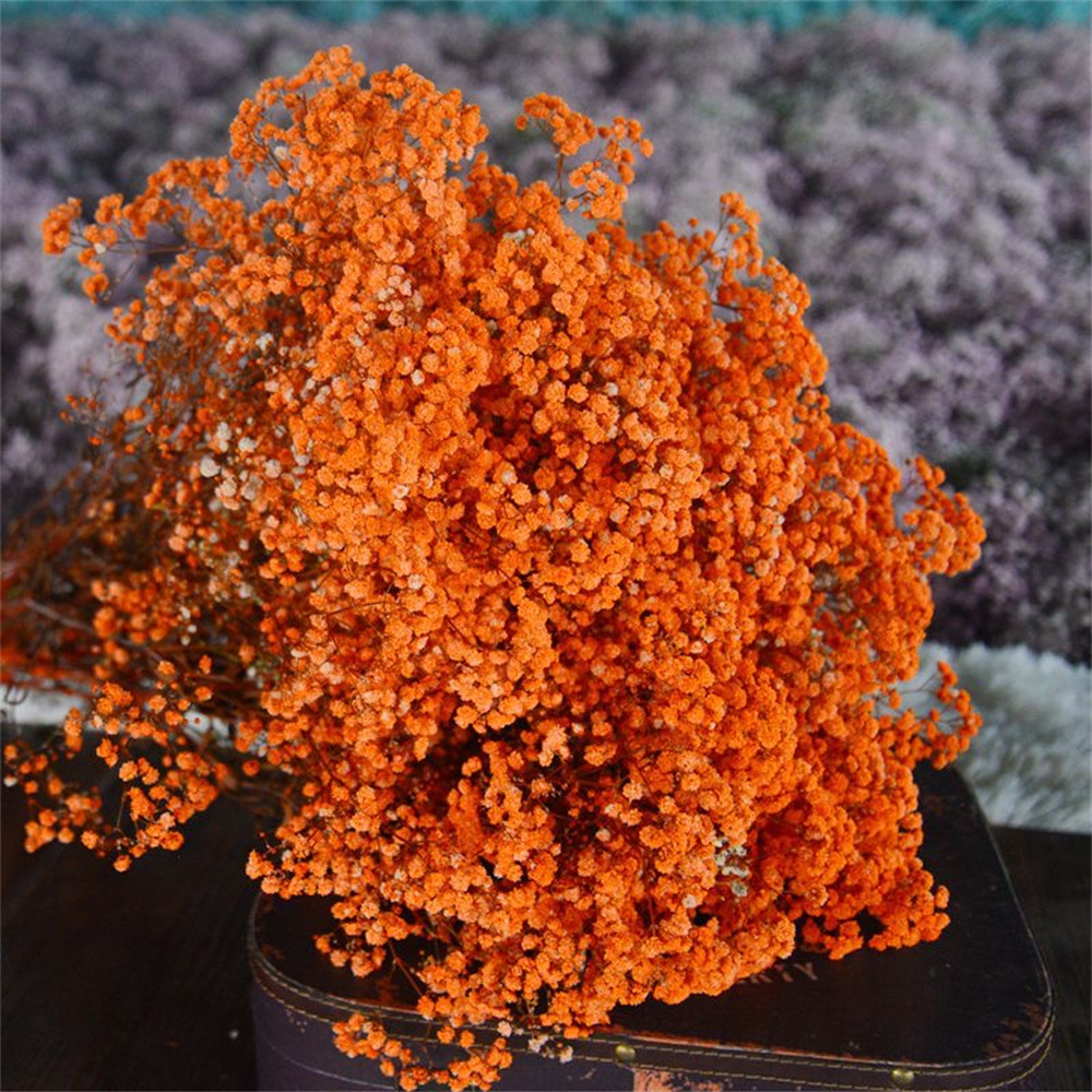 오렌지(450g)±30g