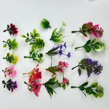 ���滨����Gֲ�������DIY��������ֲ���~��ˮ�ݻ���ˮ���