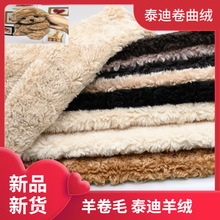 现货 泰迪绒 卷曲绒 卷羊毛 服装箱包玩具毛绒面料