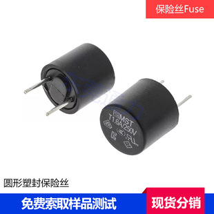 Schurter MST 250 Round 1A Fuse 0034.6715