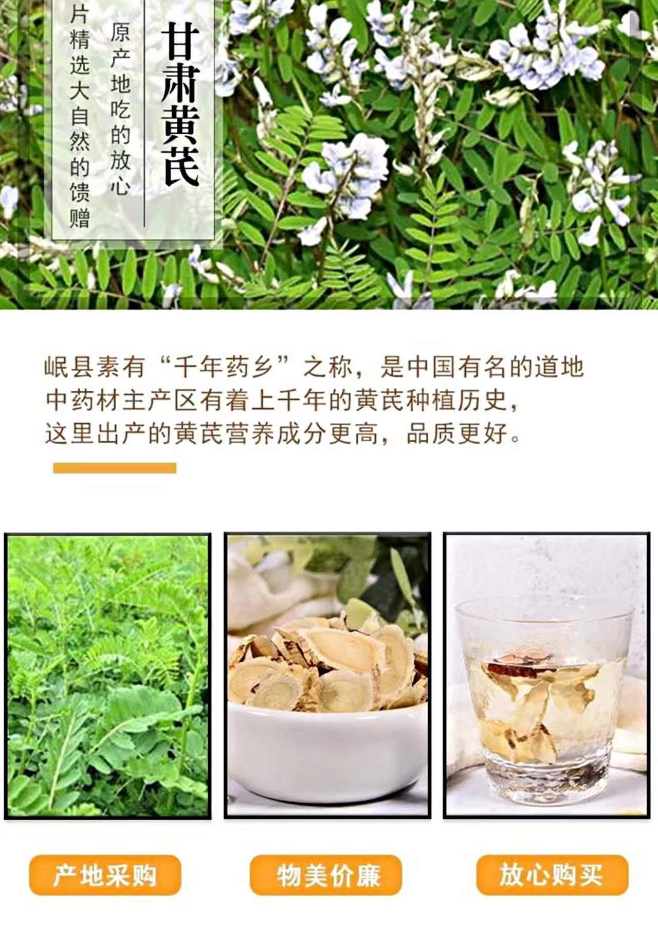 Huang Qi Slices (Astragalus membranaceus) — Gansu Minxian Dried Root Slices for Soup & Tea overview