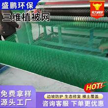 ɽ�w�o�¼ӹ����Sֲ���W�ӽ�HDPE�ͺϾW���ٺӵ�߅�·��o�Gɫ�W