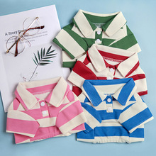 �羳�¿�ﹷ�����ļ�polo���g�l��ط��I����T��؈��l�y�·�