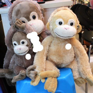 �W�t�����ɹ���ë�q��ߵ����б�����ż�L�ۺ��ӵ����Y�����l