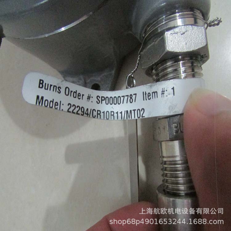 BURNS传感器200A10C9P115，300A10A2A025，200A10A9P055