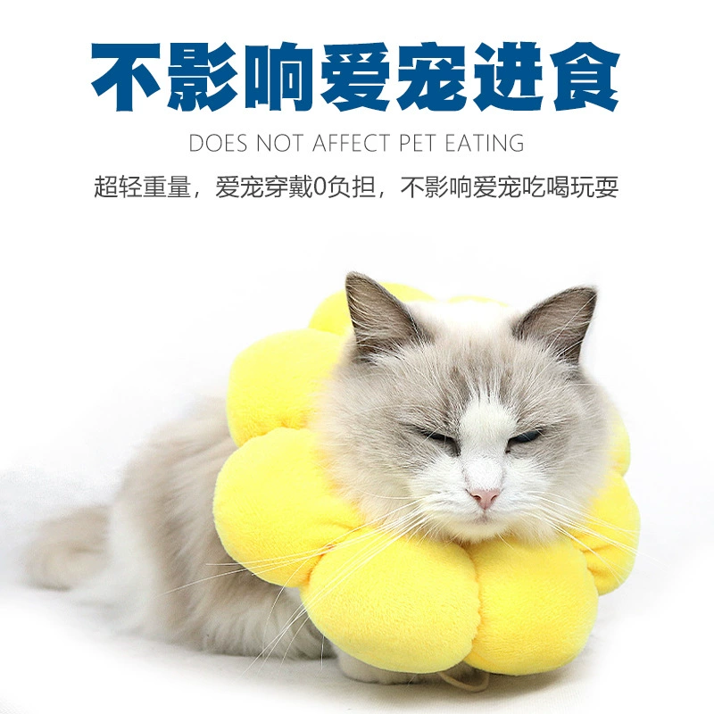 Amazon Pet Elizabeth кольцо кошка анти-лизать и кусать головной убор домашнее животное красота мягкое кольцо оптовая продажа с фабрики