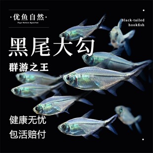 ��β���~Ⱥ���~С�͟Ꭷ�^�p�~��ˮ�~�󹴳����~�t�G���~���R�~