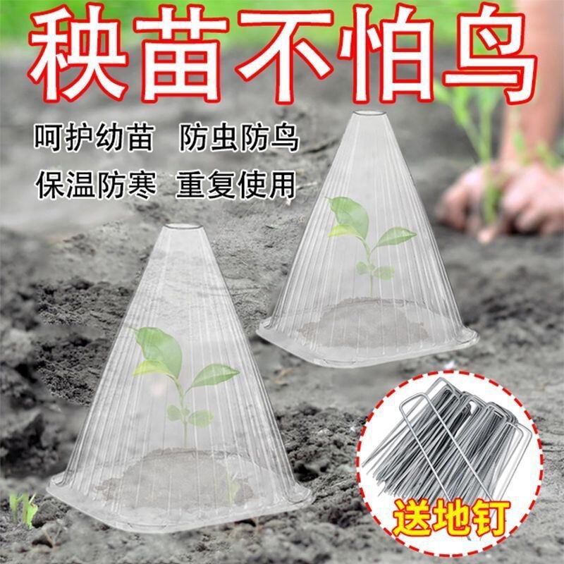 Wholesale Seedling Protective Cover, Garden Plant Seedling Cone Cover, Protective Cover, Sunshade, Windproof Cover, Insulation Cover, Green Plant Cover