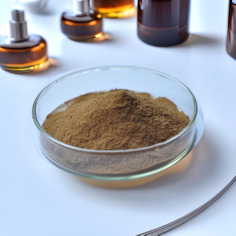 叶百部提取物  百部碱1%2%3% 叶百部提取粉 提取工厂现货供应