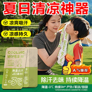 The First Cooling Ice Towel, Cold Wet Wipes, Plant Formula, Cooling and Refreshing, Anti-Bite, Outdoor Sports Sweat Wiping, Military Training Mint