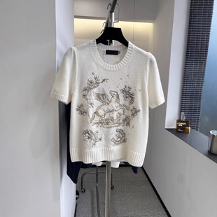 26�紺��ʹ�w�R���w�𾀻���D�v�̽��A�Iᘿ���q��ë����Ů����