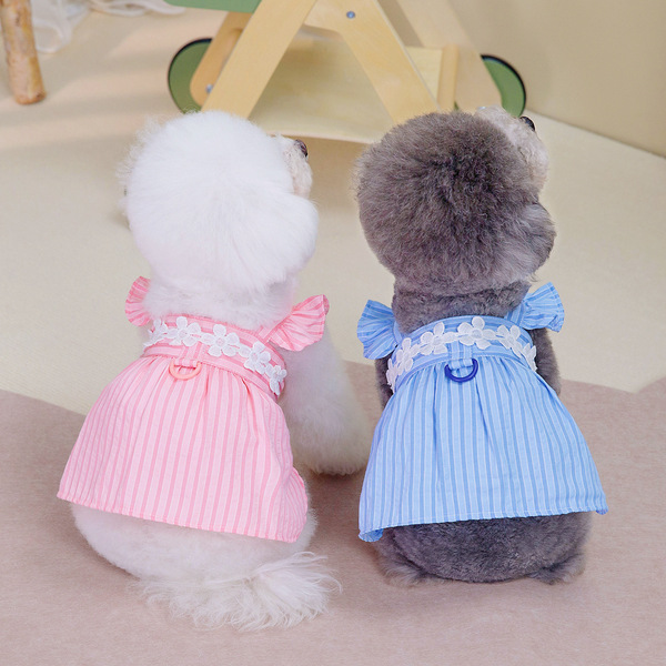 Summer small princess costume