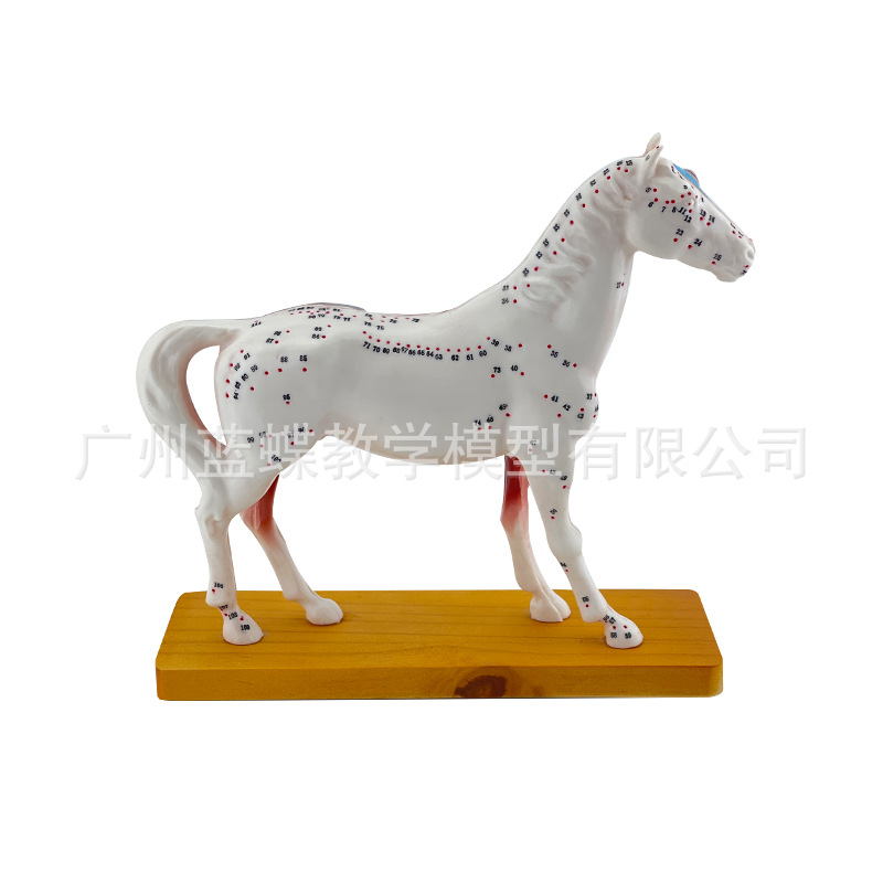 �������ģ�� ��ģ�� �������ģ�� ��Ѩλģ�� ��ҽ��ѧģ��