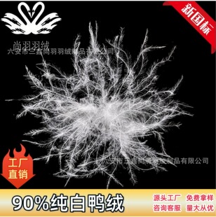 �S�ҹ���ˮϴ�坍�����ɴ����ë��q���q�����χ���90�������q