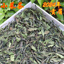 2024С˲ײl ؕüȺwNɽF