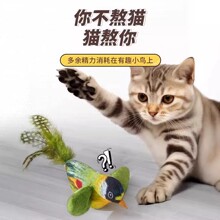 ؈����߶�؈������С�B�����؈���˽␞��ץҧ������Ʒ