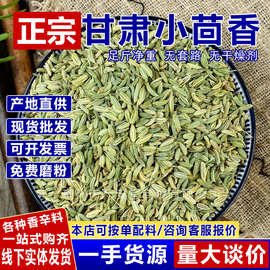 小茴香香料1斤小茴香籽产地直发甘肃小茴香香料调料大全大料批发