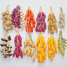 �������׼t�����������r�����r�Ҙ�ͥԺ��ˮ���߲˒촮�b�Ʒ���